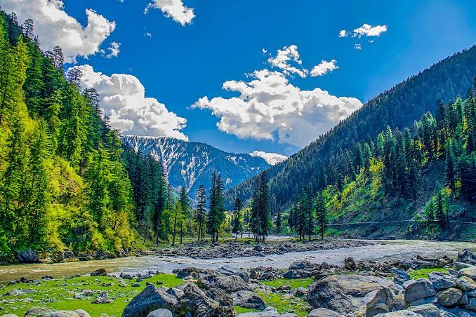 Kashmir river and forest scenery